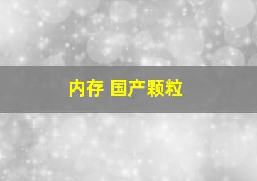 内存 国产颗粒